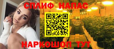 соль ск Сланцы