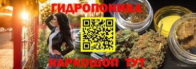 ПСИЛОЦИБИНОВЫЕ ГРИБЫ Славгород
