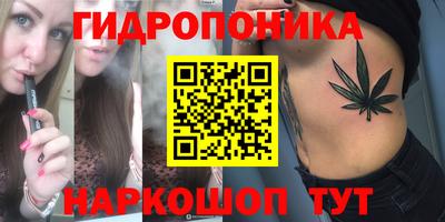 крисы Славянск-на-Кубани